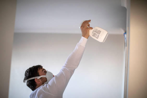 Best Attic Mold Remediation in Wliamsvle, IL