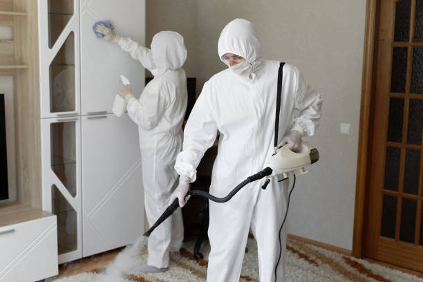 Best Kitchen Mold Remediation in Wliamsvle, IL